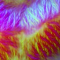 Shader 206